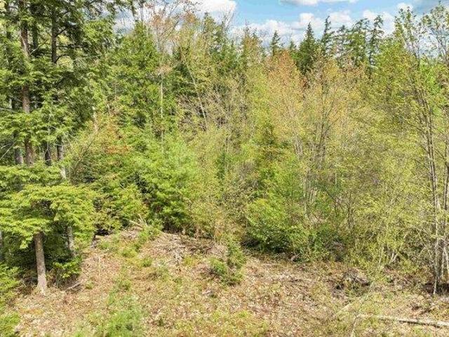 Land for sale in Conway, Carroll County
