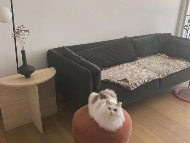 Room for rent in Sydney, New South Wales