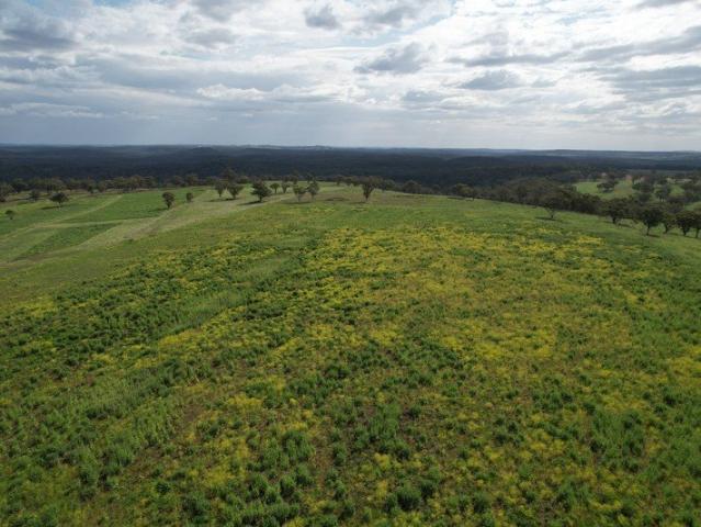 Cottage for sale in New South Wales