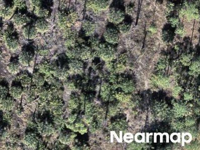 Land for sale in Port Charlotte, Florida
