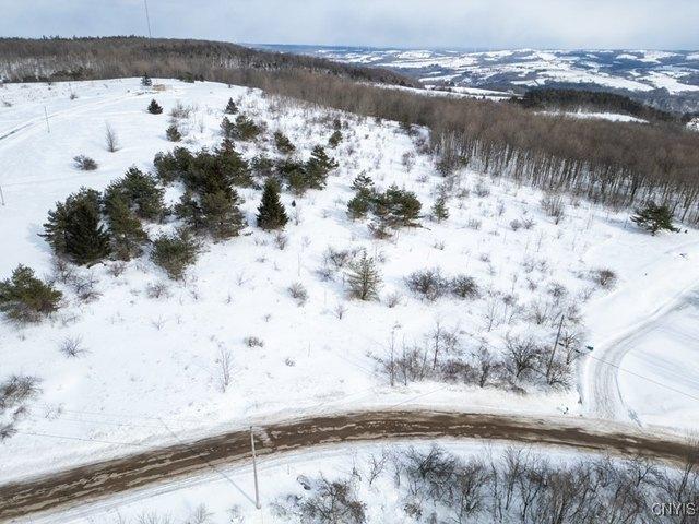 Land for sale in Herkimer, New York
