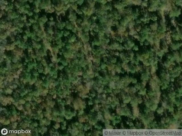 Land for sale in Fayette, Alabama