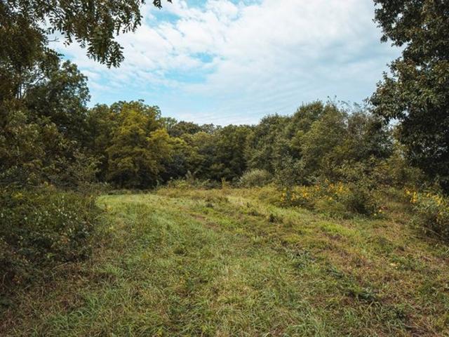 Land for sale in Maysville, DeKalb County