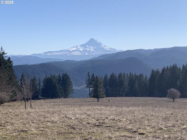 Land for sale in Underwood, Washington