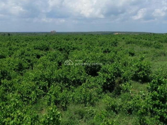 Land for sale in Kilifi