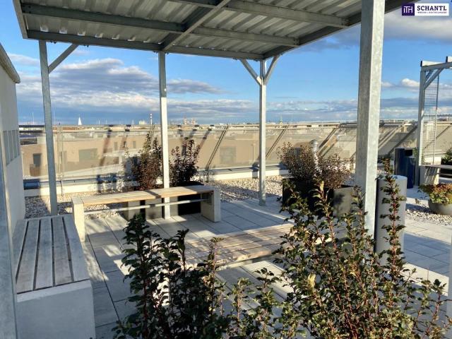 Apartment mieten in Groß-Schwechat, Schwechat