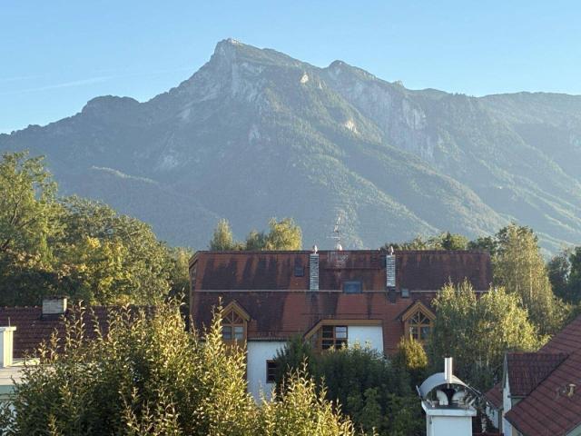 Apartment kaufen in Leopoldskroner Moos, Salzburg