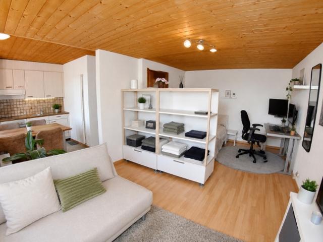 Wohnung mieten in Schneisingen, Aargau