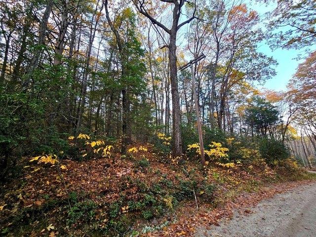 Land for sale in Shutesbury, Massachusetts