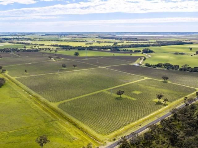Property for sale in Coonawarra, Wattle Range Council