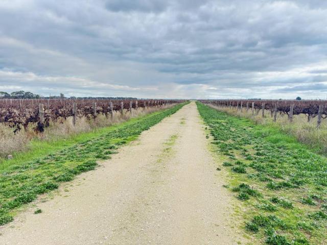 Land for rent in Coonawarra, South Australia