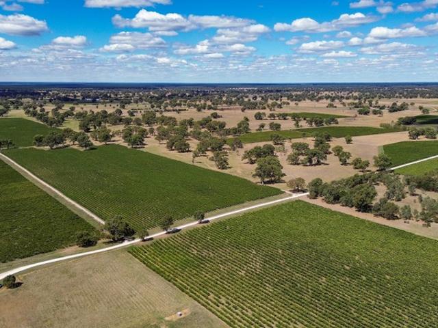Property for sale in Coonawarra, South Australia
