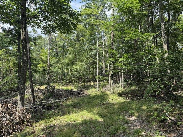 Land for sale in Clearfield, Pennsylvania