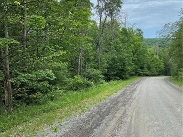 Farm for sale in Van Etten, New York