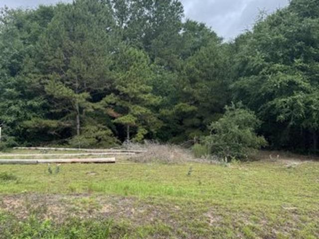 Land for sale in Summerton, South Carolina