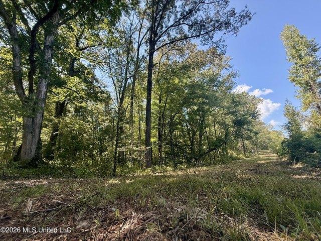 Land for sale in Mississippi