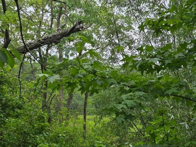 Land for sale in Wicomico, Maryland