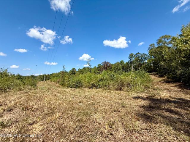 Land for sale in Mississippi
