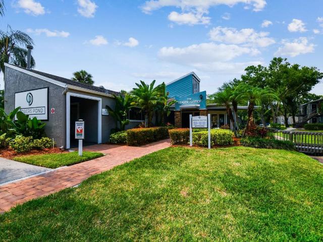 Apartment for rent in Tampa, Florida
