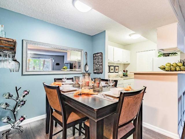 Apartment for rent in Tampa, Florida
