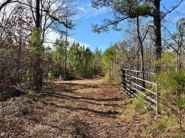 Land for sale in Coosa, Alabama