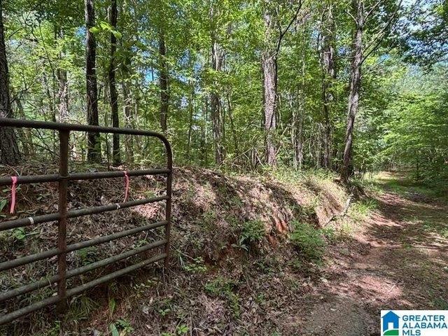 Land for sale in Coosa, Alabama