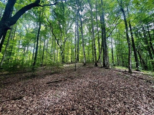 Land for sale in Coosa, Alabama