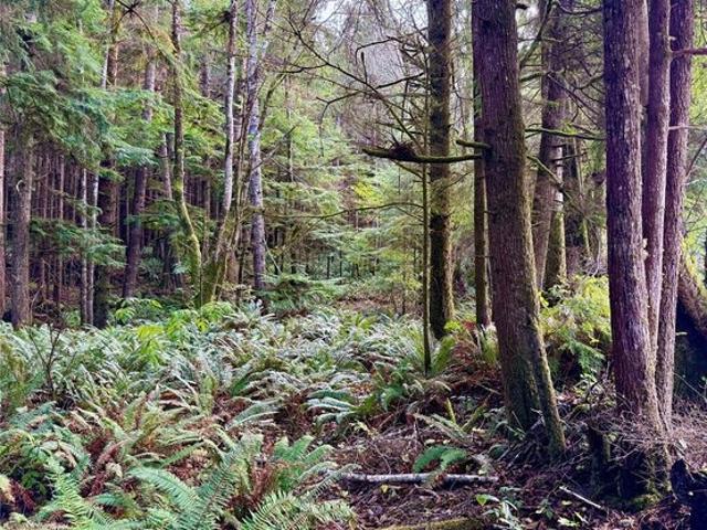 Land for sale in Copalis Beach, Washington