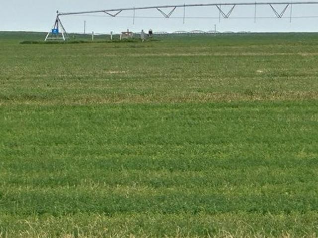 Farm for sale in Colorado