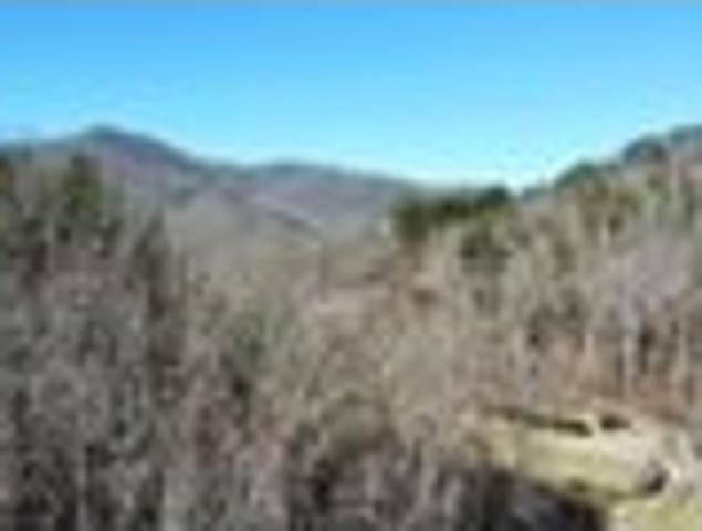 Land for sale in Sylva, North Carolina