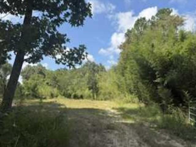 Land for sale in Millry, Alabama