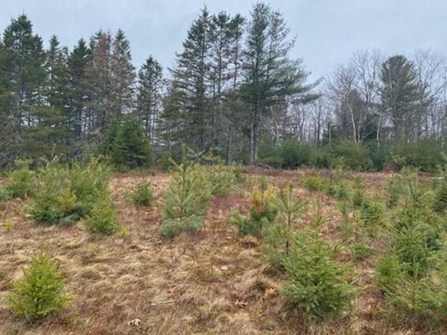 Land for sale in Holden, Maine