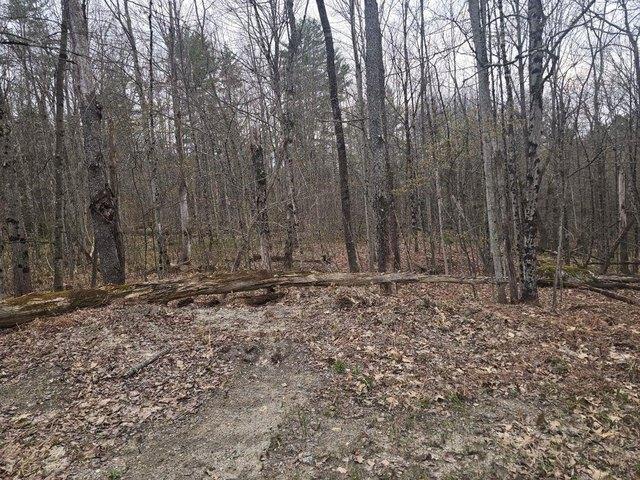 Land for sale in Unity, Sullivan County