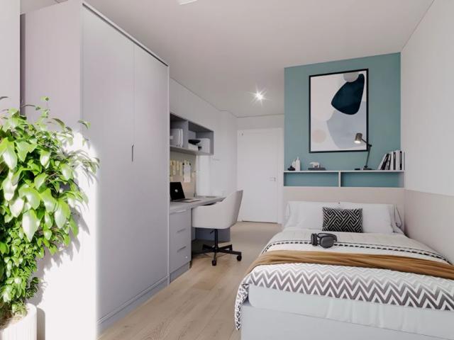 Room for rent in St Philip's, Feckenham