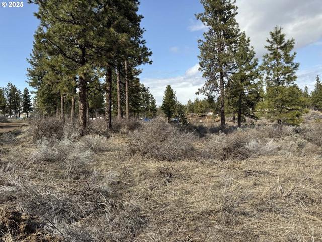 Land for sale in Oregonia