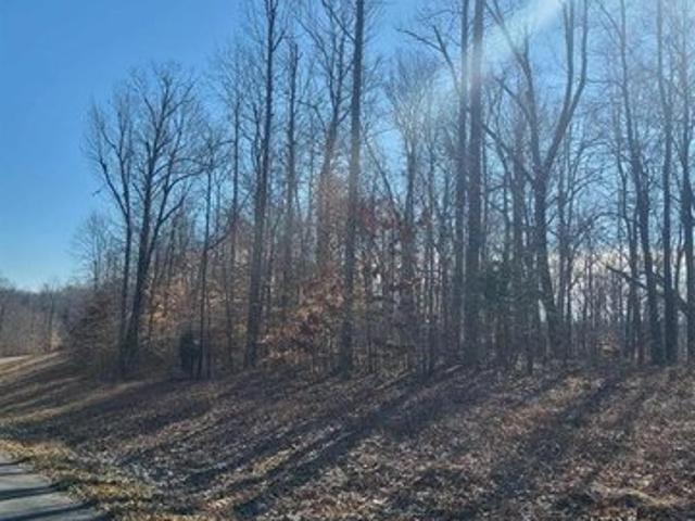 Land for sale in Eddyville, Kentucky