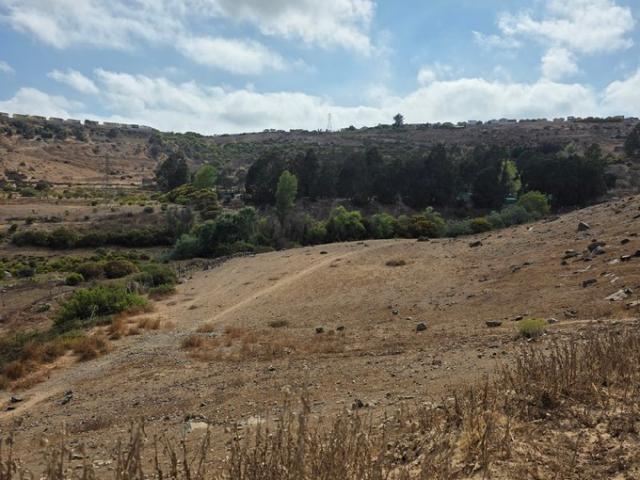 Coquimbo, La cantera