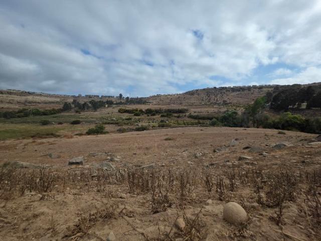 Coquimbo, La cantera