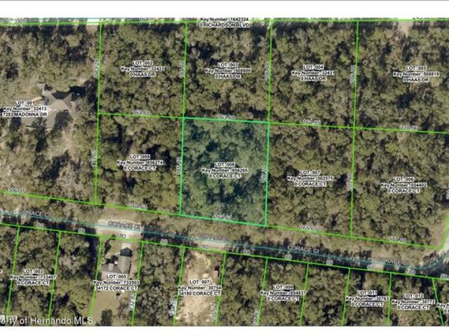 Land for sale in Webster, Florida