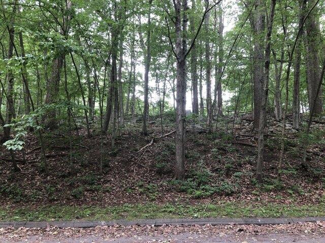Land for sale in Plymouth, Connecticut