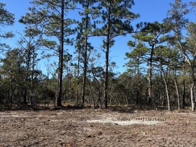 Land for sale in Southport, North Carolina