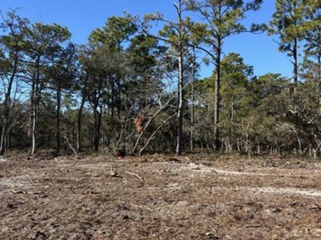 Land for sale in Southport, North Carolina