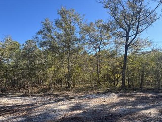 Land for sale in Southport, North Carolina