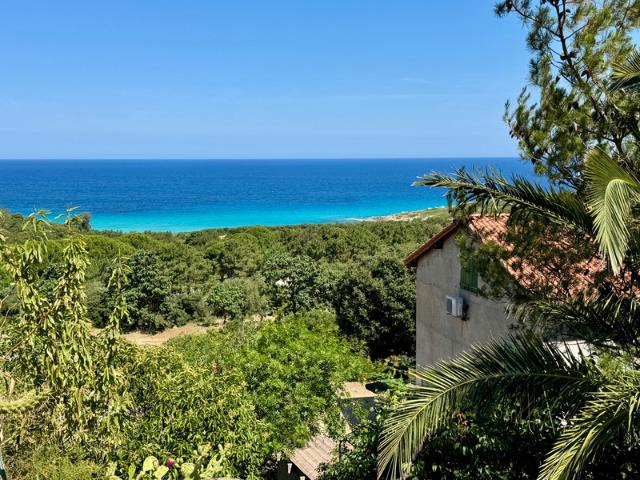Maison vente à Calvi, Corbara