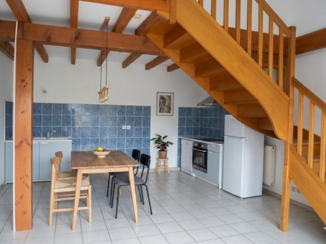 Maison vente à Lyon, Métropole de Lyon