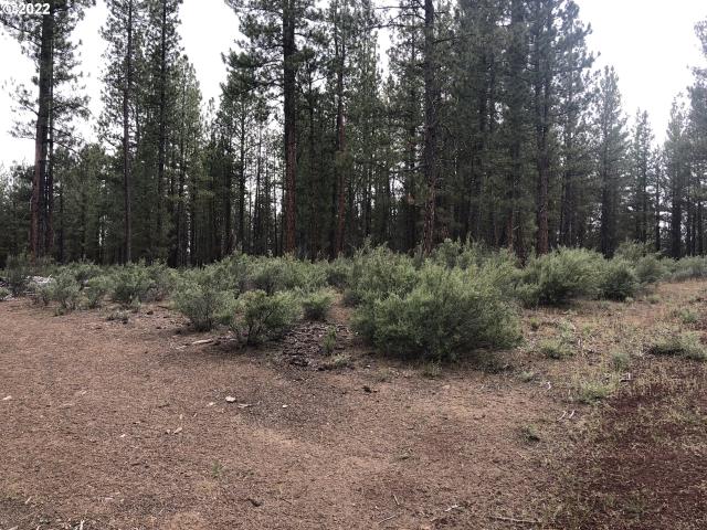 Land for sale in Chiloquin, Klamath County