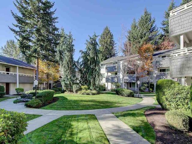 Apartment for rent in Kirkland, Washington