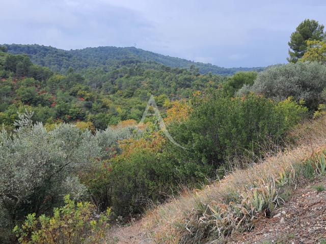 Terrain vente à Forcalquier, Corbières