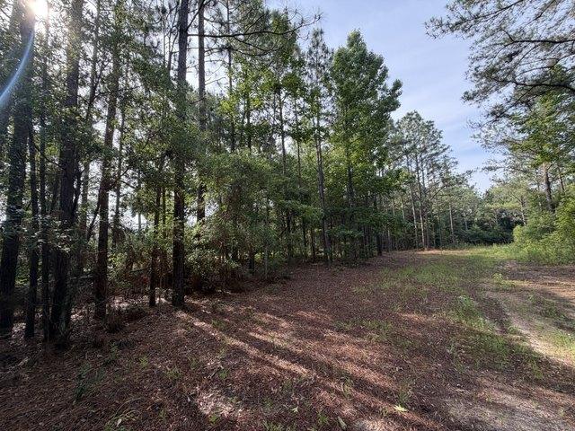 Land for sale in Dale, Alabama