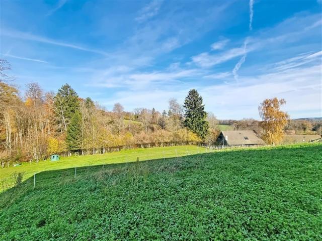 Einfamilienhaus kaufen in Corcelles-le-Jorat, Waadt